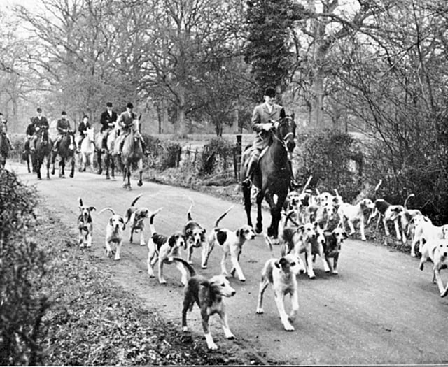 The Boxing Day Hunt - a festive tradition or echo of a cruel past? 