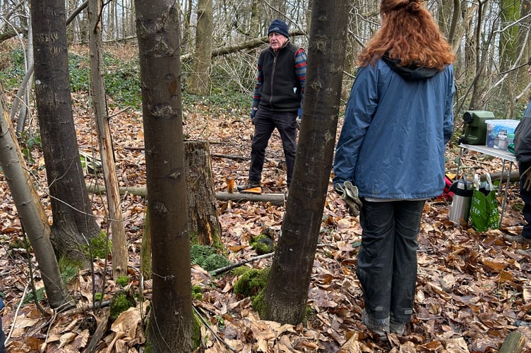 18-24 year old earning about coppicing at Pierrepont Farm