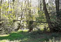 Decade of delays leaves River Wey vulnerable to disaster