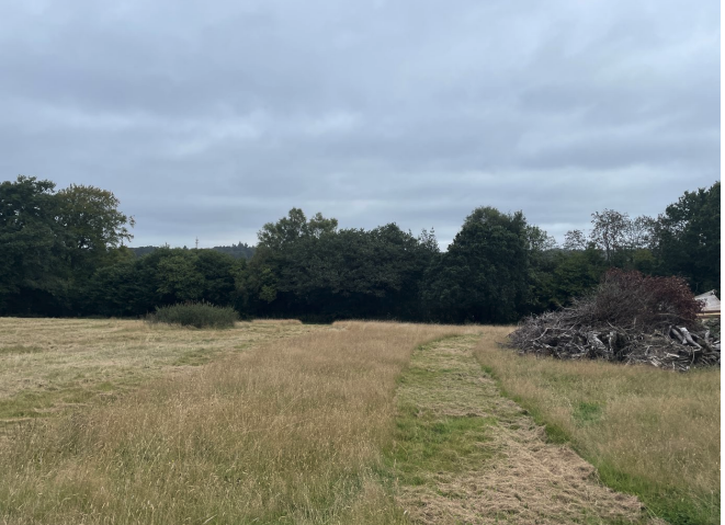 The site up for development if plans approved