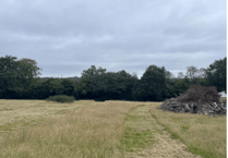 Haslemere housing development sparks AONB concerns