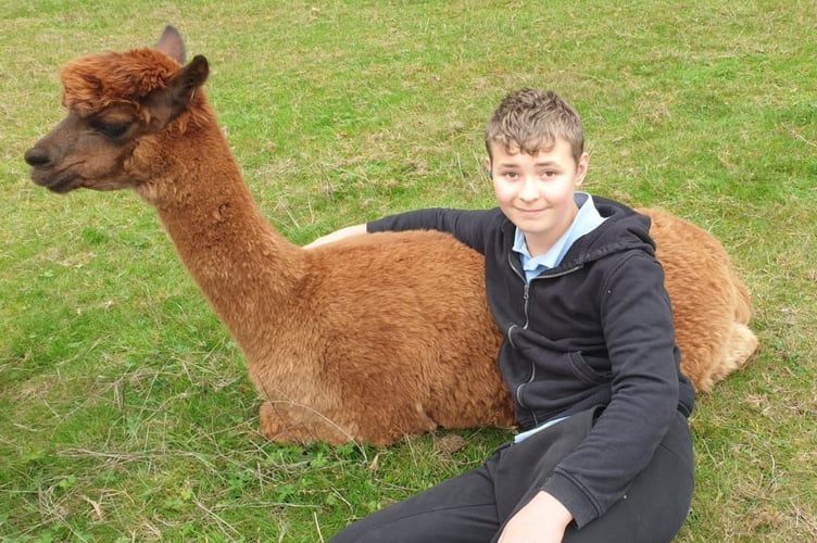 One of the Change of Scene users and a llama.