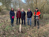 Liss gets greener as 36 Black Poplar trees take root
