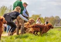 UK's largest gundog challenge returns to raise funds for Midhurst care