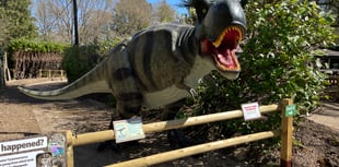 WATCH: Dinosaurs invade Birdworld this Easter
