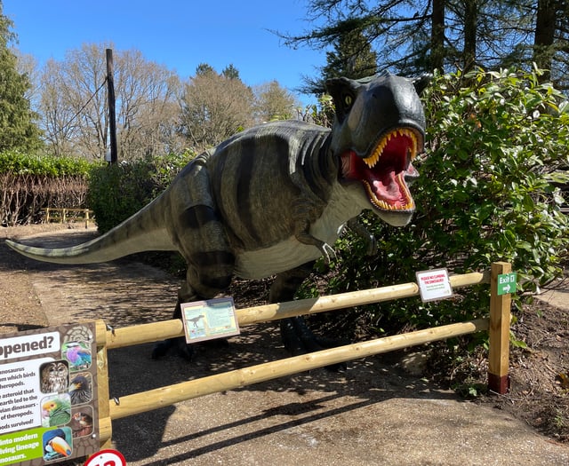 WATCH: Dinosaurs invade Birdworld this Easter
