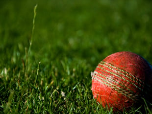 World of Cricket: Challenges are nothing new for ground staff
