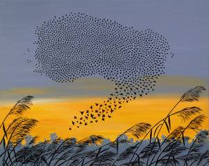 Starling Murmuration by John Daniels