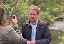 River Wey pollution kills 70 fish, EA yet to find culprit