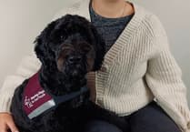 Liphook woman takes on charity skydive so others can benefit from hearing dog’s support
