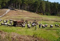 Netflix returns to Farnham's Bourne Wood for The Witcher Season 5 filming