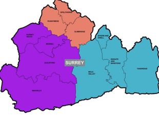 Waverley councillors claim majority support three-unitary model