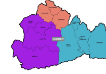 Waverley councillors claim overwhelming support for three-unitary model