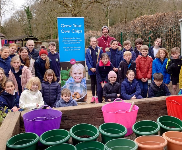 Schoolchildren dig in to Squire’s 'Grow Your Own Chips' initiative 