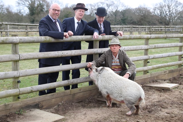 Betty the pig divides the haves and have-nots in post-war Britain