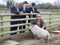 Betty the pig divides the haves and have-nots in post-war Britain
