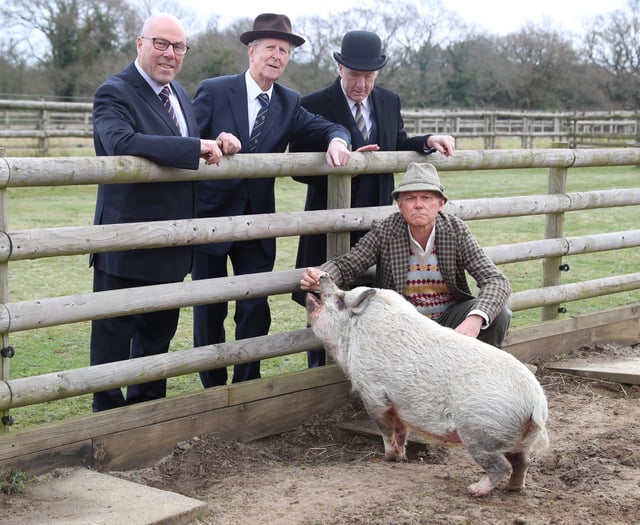 Betty the pig divides the haves and have-nots in post-war Britain