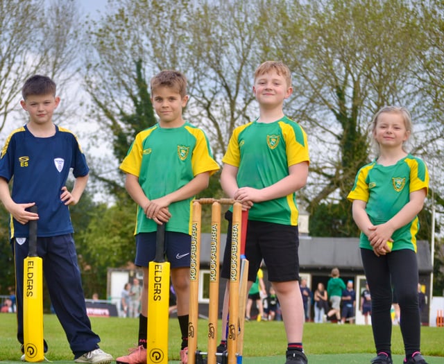 Holybourne celebrate opening of new artificial wicket