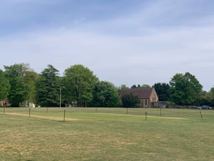 Cricket returns to Upper Hale