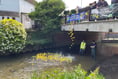 GALLERY: More pictures from the Great Farnham Duck Race 2025