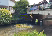 GALLERY: More pictures from the Great Farnham Duck Race 2025