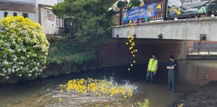 WATCH: The Great Farnham Duck Race 2025 makes a splash