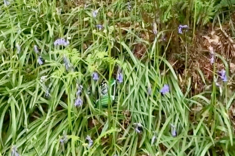 Casey Flay finding his phone. Release date May 5, 2025. A skydiver whose phone flew out of his pocket at 14,000ft was stunned when he later tracked it down to a forest and found it - without a scratch on it. Casey Flay, an experienced wingsuiter and skydiver, jumped from the plane like he had so many times before but completely forgot to zip the front pocket with his phone in. A video of his skydive in Honiton, Devon, shows the 37-year-old preparing to leap with his iPhone 13 Pro Max peeking out of his overalls. As he takes his leap, the phone flies out of his pocket and plummets towards the Earth. Following his dive, engineer Casey - oblivious to the fact his phone had fallen alongside him - asked others in the plane if he'd left it up there. But he was shocked when he used the Find My iPhone app to track his phone down to a forest four miles away from where he'd landed. Even more surprising, however, was the fact that the 14,000ft (2.65 mile) drop appeared hardly to have left a mark on his device.
