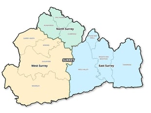 Surrey's political shake-up