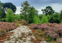 Firefighters battle wildfire at protected wildlife area