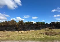 Campfire blamed for devastating wildfire on heathland