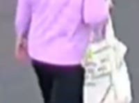 Police seek pink jumper-wearing witness in stabbing investigation