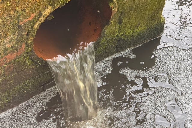 Your letters to the editor: Sea change for our rivers and coasts