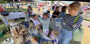 Farnham’s Sustainability Festival offers a day of green inspiration