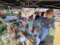 Farnham’s Sustainability Festival offers a day of green inspiration