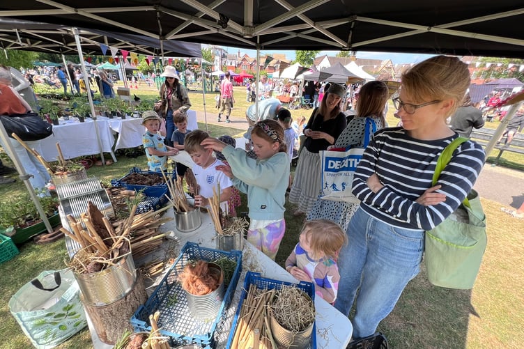 Fun at Farnham Sustainability Festival 2025.