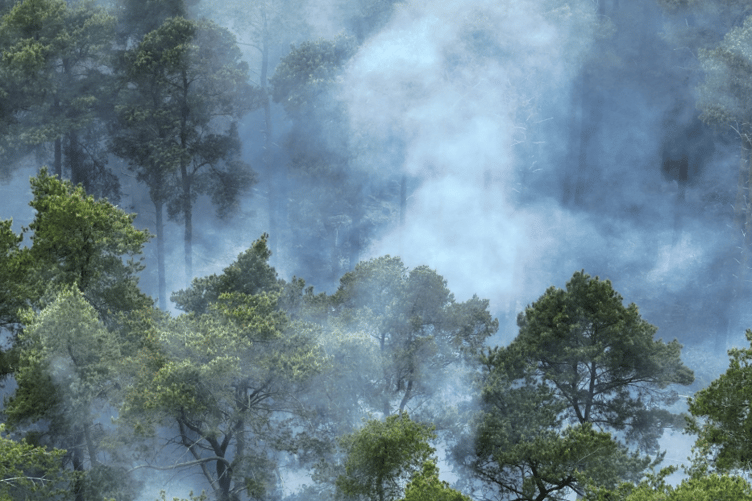 The fire near Tilford on May 20, 2024.