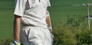 Waverley fall to emphatic defeat at Dummer