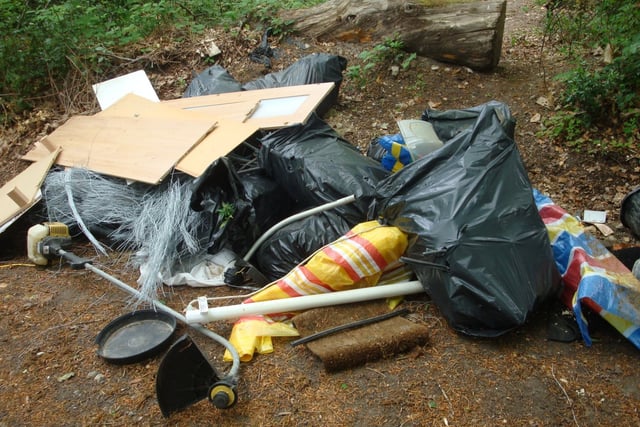 Down in the dumps: But council wants to fight back against fly-tippers