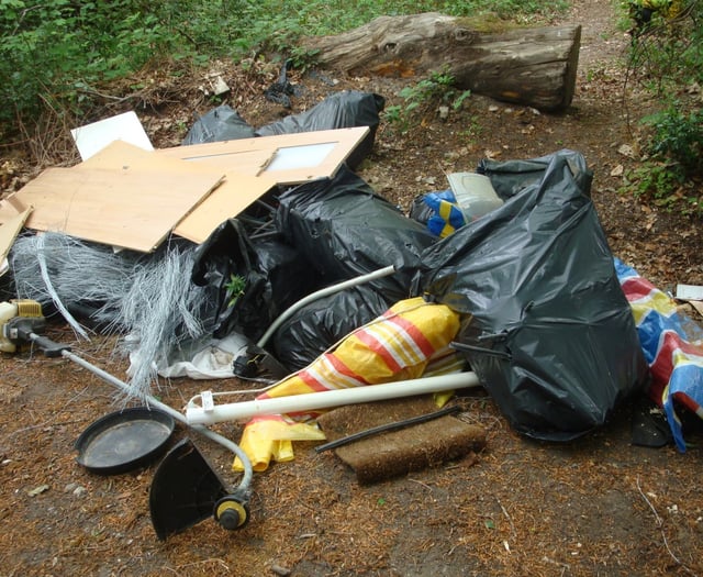 Down in the dumps: But council wants to fight back against fly-tippers