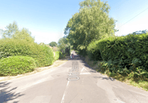 Inspector blocks new Haslemere development to protect trees