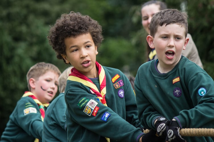 Scouts in action: teamwork, confidence and outdoor fun in Hindhead’s woodland setting