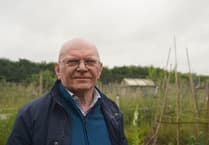 Community allotments attacked by vandals in Wrecclesham