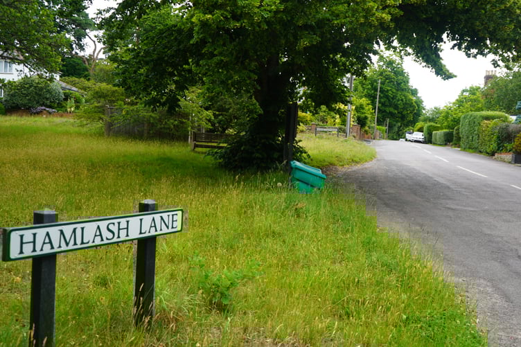 Hamlash Lane in Frensham