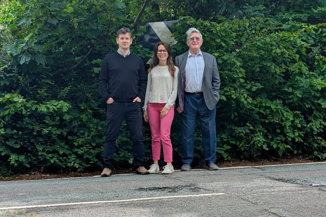 Same problems, new council: Haslemere goes to the polls