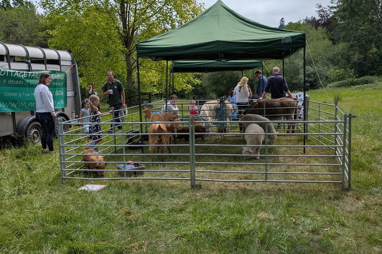 "A goat day out!" Children meet some fluffy friends in the museum garden, courtesy of Mill Cottage Farm Experience