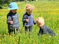 Grayswood Nursery rated Outstanding