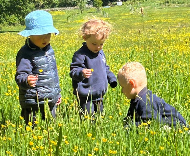 Grayswood Nursery rated Outstanding