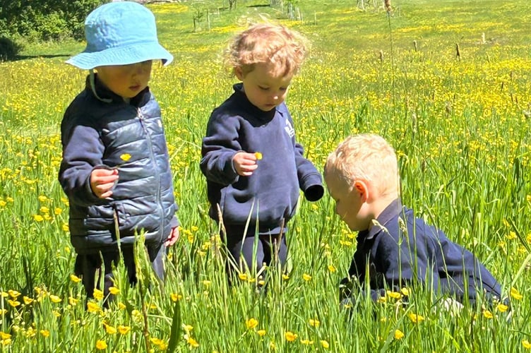 Grayswood Nursery School achieves Outstanding rating in all areas