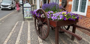 Farnham flaunts its floral finery for In Bloom judges