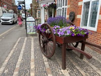 Farnham flaunts its floral finery for In Bloom judges